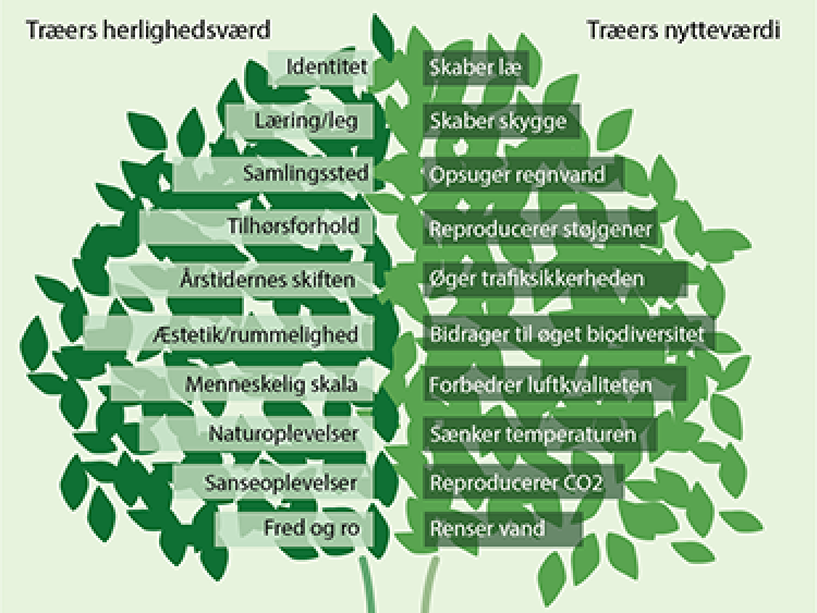 Træers herlighedsværdi og nytteværdi