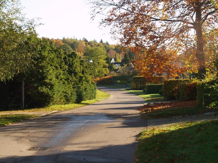 Efterår ved Ravnsnæs. Vej med huse samt træer der er ved at skifte til efterårsfarver.